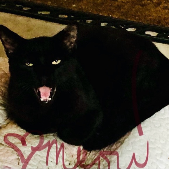 Meet your Posher - Hey - Picture 1 of 2